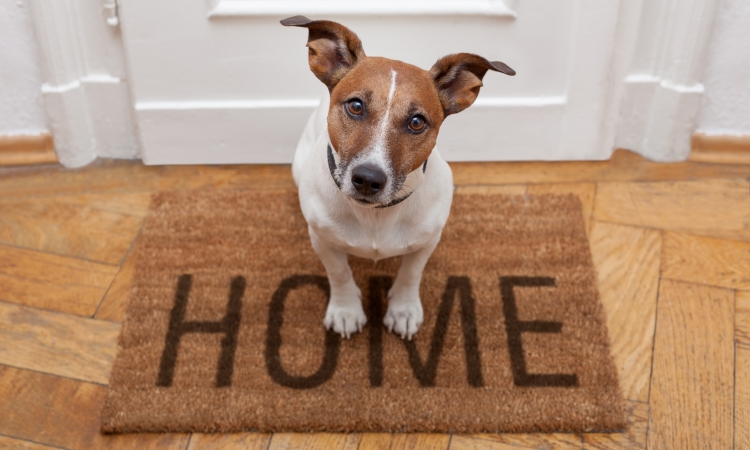 Alfombrilla de bienvenida a un nuevo hogar