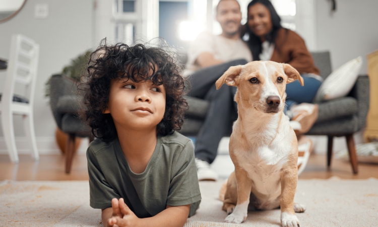 Little boy with his dog