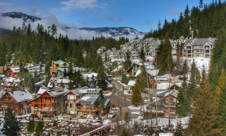 Cozy town, surrounded by snow-covered trees and a winter landscape. The sky is a bright blue, contrasting with the white snow, symbolizing a new adventure in a colder climate.