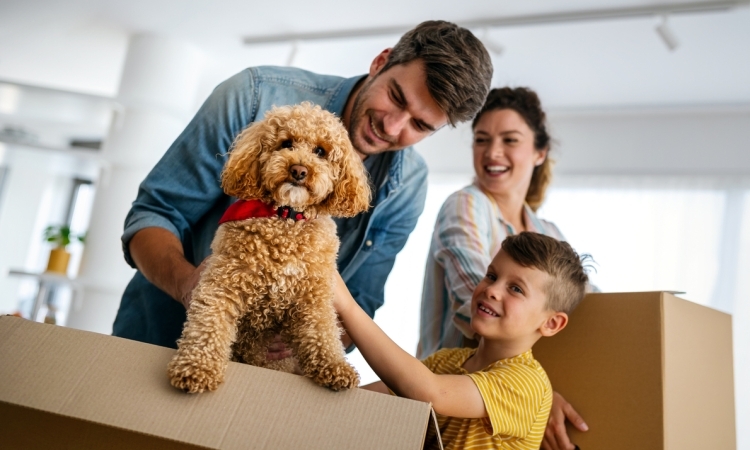 family moving checklist, everything you need for a stress-free move